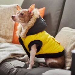 Frisco Heavyweight Anchorage Insulated Dog & Cat Parka, Yellow/Black 15 Frisco Heavyweight Anchorage Insulated Dog & Cat Parka, Yellow/Black -Pet Supplies Discount Store 268397 PT8. AC SS1800 V1629761431