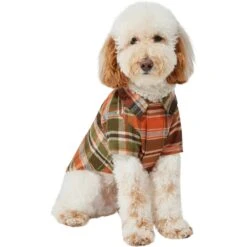 Frisco Orange & Olive Plaid Dog & Cat Flannel Shirt 13 Frisco Orange & Olive Plaid Dog & Cat Flannel Shirt -Pet Supplies Discount Store 268612 PT2. AC SS1800 V1637682457