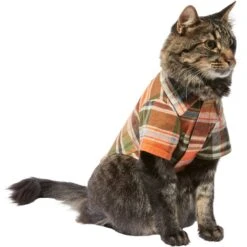 Frisco Orange & Olive Plaid Dog & Cat Flannel Shirt 14 Frisco Orange & Olive Plaid Dog & Cat Flannel Shirt -Pet Supplies Discount Store 268612 PT3. AC SS1800 V1637659314