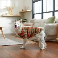 Frisco Orange & Olive Plaid Dog & Cat Flannel Shirt 19 Frisco Orange & Olive Plaid Dog & Cat Flannel Shirt -Pet Supplies Discount Store 268612 PT8. AC SS1800 V1629759992