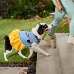 Frisco Chambray Plaid Dog & Cat Dress -Pet Supplies Discount Store 268637 PT8. AC SS1800 V1629757964