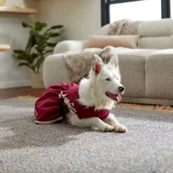 Frisco Plum Dog & Cat Dress -Pet Supplies Discount Store 268677 PT8. AC SS1800 V1629766023