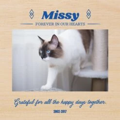 Frisco Personalized "Happy Days" Memorial Ceramic Photo Tile With Stand, 8" X 10" -Pet Supplies Discount Store 268720 PT2. AC SS1800 V1620400026