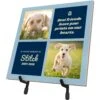 Frisco Personalized "Best Friends" Memorial Ceramic Photo Tile With Stand, 8" X 10" 1 Frisco Personalized "Best Friends" Memorial Ceramic Photo Tile With Stand, 8" X 10" -Pet Supplies Discount Store 268721 MAIN. AC SS1800 V1619197920