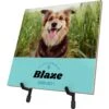 Frisco Personalized "Love" Memorial Ceramic Photo Tile With Stand, 8" X 10" 2 Frisco Personalized "Love" Memorial Ceramic Photo Tile With Stand, 8" X 10" -Pet Supplies Discount Store 268722 MAIN. AC SS1800 V1619197916