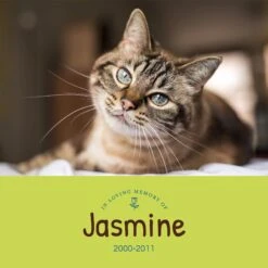 Frisco Personalized "Love" Memorial Ceramic Photo Tile With Stand, 8" X 10" -Pet Supplies Discount Store 268722 PT2. AC SS1800 V1619198218