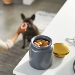 Frisco Modern Gold Rim Ceramic Treat Jar -Pet Supplies Discount Store 270190 PT2. AC SS1800 V1620762371