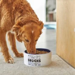 Frisco Food & Paw Non-skid Ceramic Dog Bowl -Pet Supplies Discount Store 270195 PT2. AC SS1800 V1620762027