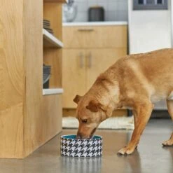 Frisco Houndstooth Non-skid Ceramic Dog Bowl -Pet Supplies Discount Store 270200 PT2. AC SS1800 V1620762251
