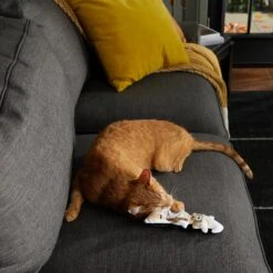 Frisco Halloween Good Witch, Bad Witch Reversible Plush Cat Toy With Catnip -Pet Supplies Discount Store 270301 PT3. AC SS1800 V1624824841