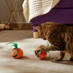Frisco Halloween Nerdy Jack-o-Lanterns Plush Cat Toy With Catnip, 2 Count 8 Frisco Halloween Nerdy Jack-o-Lanterns Plush Cat Toy With Catnip, 2 Count -Pet Supplies Discount Store 270313 PT3. AC SS1800 V1624824951