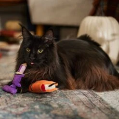 Frisco Halloween Enchanted Book & Candle Plush Cat Toy With Catnip, 2 Count 8 Frisco Halloween Enchanted Book & Candle Plush Cat Toy With Catnip, 2 Count -Pet Supplies Discount Store 270321 PT3. AC SS1800 V1689878926