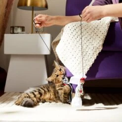 Frisco Sugar Skull Bride & Groom Bouncy Cat Toy With Catnip, 2 Count -Pet Supplies Discount Store 270343 PT3. AC SS1800 V1624817778