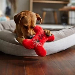 Frisco Halloween Wicked Cute Bone Reversible Plush Squeaky Dog Toy -Pet Supplies Discount Store 270357 PT3. AC SS1800 V1624817551