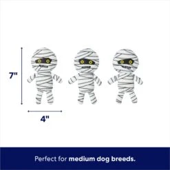 Frisco Halloween Mummy & Coffin Hide & Seek Puzzle Plush Squeaky Dog Toy -Pet Supplies Discount Store 270365 PT2. AC SS1800 V1689872932