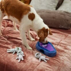 Frisco Halloween Mummy & Coffin Hide & Seek Puzzle Plush Squeaky Dog Toy -Pet Supplies Discount Store 270365 PT3. AC SS1800 V1624817620