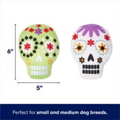 Frisco Halloween Day Of The Dead Sugar Skull Plush Squeaky Dog Toy, 2 Count 8 Frisco Halloween Day Of The Dead Sugar Skull Plush Squeaky Dog Toy, 2 Count -Pet Supplies Discount Store 270443 PT1. AC SS1800 V1689877622
