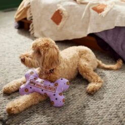 Frisco Halloween My First Halloween Bone Reversible Plush Squeaky Dog Toy -Pet Supplies Discount Store 270452 PT3. AC SS1800 V1624817314
