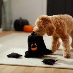 Frisco Halloween Haunted Tree Hide & Seek Puzzle Plush Squeaky Dog Toy 11 Frisco Halloween Haunted Tree Hide & Seek Puzzle Plush Squeaky Dog Toy -Pet Supplies Discount Store 270488 PT3. AC SS1800 V1624817078