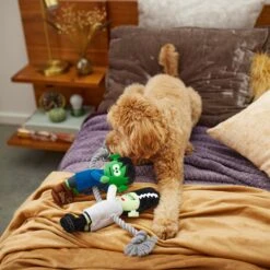 Frisco Halloween Frankenstein & Bride Plush With Rope Squeaky Dog Toy -Pet Supplies Discount Store 270496 PT3. AC SS1800 V1624824775