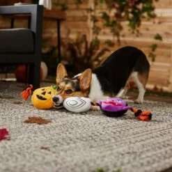 Frisco Halloween Haunted Friends Plush With Rope Squeaky Dog Toy -Pet Supplies Discount Store 270500 PT3. AC SS1800 V1624825043