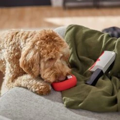 Frisco Halloween Vampire Teeth & Knife Latex Squeaky Dog Toy -Pet Supplies Discount Store 270512 PT3. AC SS1800 V1624817093