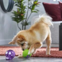 Frisco Halloween Sugar Skulls Latex Squeaky Dog Toy 8 Frisco Halloween Sugar Skulls Latex Squeaky Dog Toy -Pet Supplies Discount Store 270518 PT3. AC SS1800 V1689878507