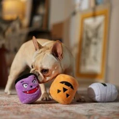 Frisco Halloween Haunted Friends Plush Squeaky Dog Toy, 3 Count -Pet Supplies Discount Store 270533 PT3. AC SS1800 V1689878438