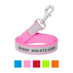 Frisco Solid Polyester Personalized Reflective Dog Leash