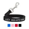 Frisco Solid Nylon Personalized Dog Leash