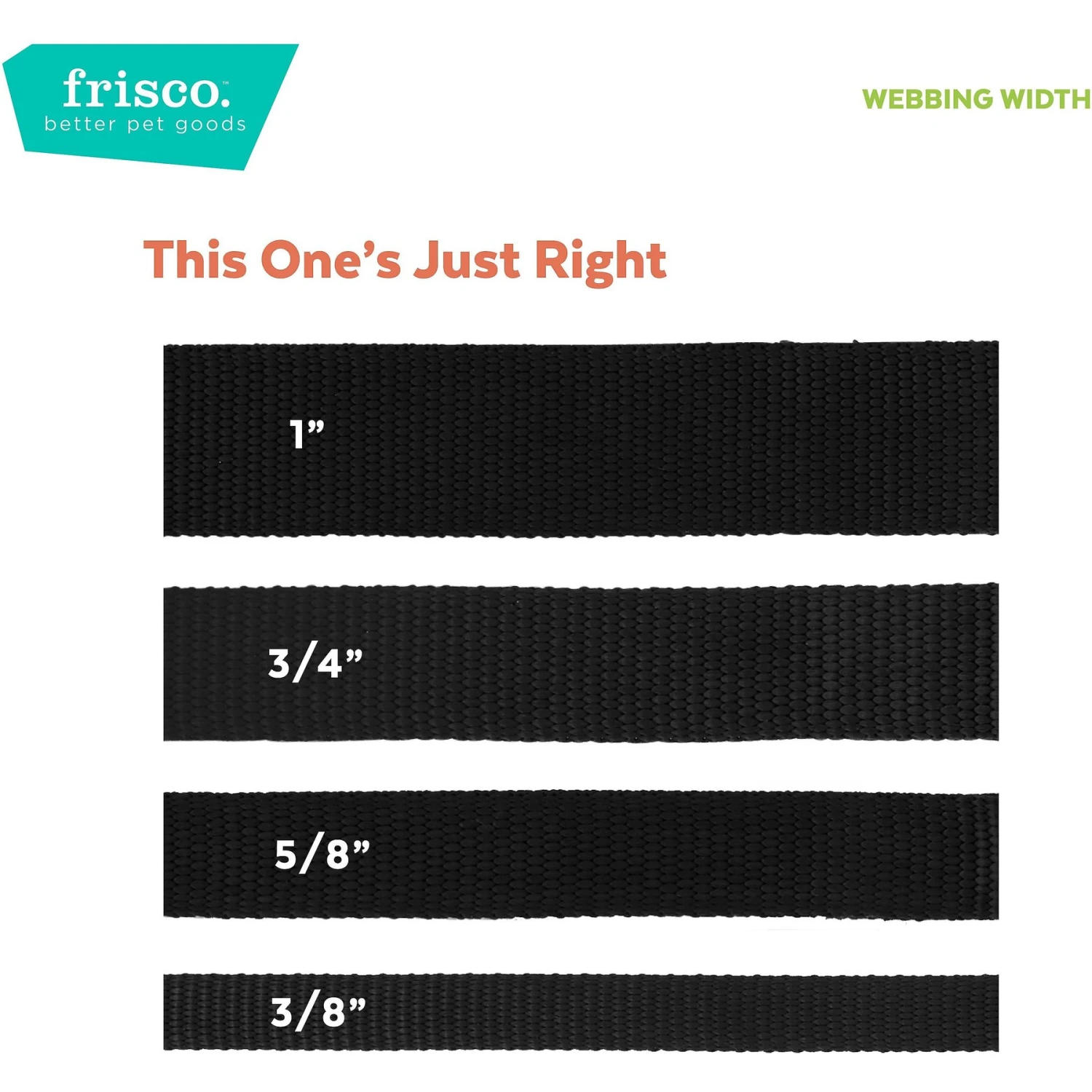 Frisco Nylon Personalized Breakaway Cat Collar With Bell 8 Frisco Nylon Personalized Breakaway Cat Collar With Bell - Image 6