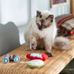 Frisco Camping Compass & Lantern Plush Cat Toy With Catnip, 2 Count 7 Frisco Camping Compass & Lantern Plush Cat Toy With Catnip, 2 Count -Pet Supplies Discount Store 270985 PT3. AC SS1800 V1625009053