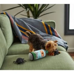 Frisco Camping Bug Spray Plush Squeaky Dog Toy, 3 Count -Pet Supplies Discount Store 270989 PT3. AC SS1800 V1625009020