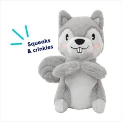 Frisco Camping Squirrel Plush Squeaky Dog Toy -Pet Supplies Discount Store 271001 PT2. AC SS1800 V1686579152