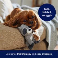 Frisco Camping Raccoon Plush Squeaky Dog Toy -Pet Supplies Discount Store 271003 PT4. AC SS1800 V1695670777
