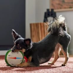 Frisco Camping Compass Plush With Rope Squeaky Dog Toy -Pet Supplies Discount Store 271020 PT3. AC SS1800 V1625008965