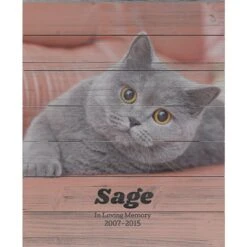 Frisco Personalized "Classic Photo" Rustic Wood Wall Decor, 16" X 20" 7 Frisco Personalized "Classic Photo" Rustic Wood Wall Decor, 16" X 20" -Pet Supplies Discount Store 271233 PT2. AC SS1800 V1621028279