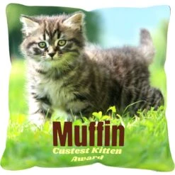 Frisco Personalized Basic Throw Pillow, 16" X 16" -Pet Supplies Discount Store 271237 PT2. AC SS1800 V1620405726