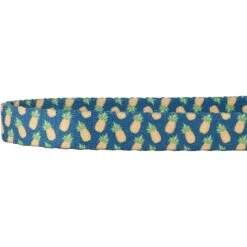 Frisco Pineapple Polyester Personalized Breakaway Cat Collar With Bell -Pet Supplies Discount Store 271597 PT3. AC SS1800 V1618937222