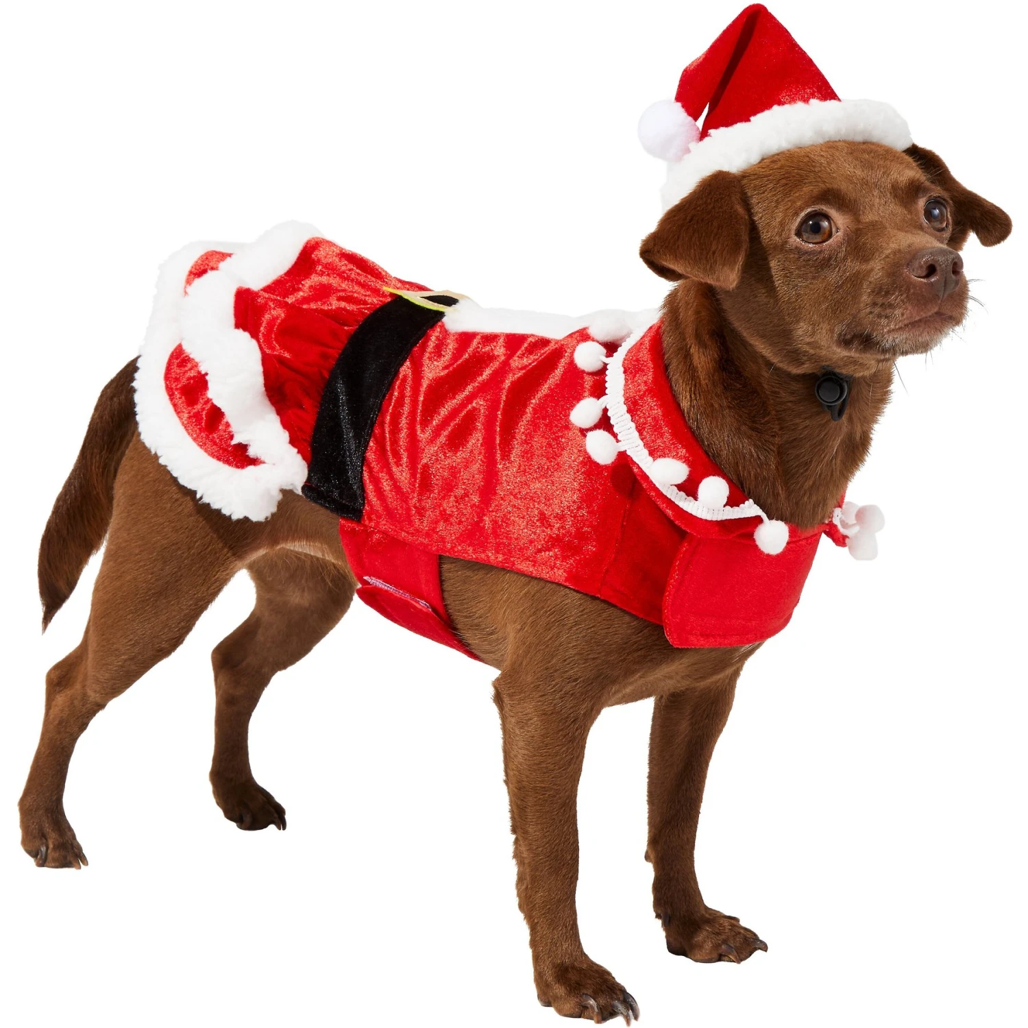 Frisco Mrs. Claus Dog & Cat Costume 3 Frisco Mrs. Claus Dog & Cat Costume