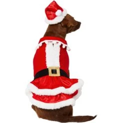 Frisco Mrs. Claus Dog & Cat Costume 10 Frisco Mrs. Claus Dog & Cat Costume -Pet Supplies Discount Store 276150 PT3. AC SS1800 V1631572139