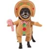 Frisco Front Walking Gingerbread Dog & Cat Costume -Pet Supplies Discount Store 276156 MAIN. AC SS1800 V1631659697