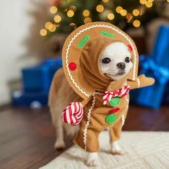 Frisco Front Walking Gingerbread Dog & Cat Costume -Pet Supplies Discount Store 276156 PT8. AC SS1800 V1631568795