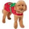 Frisco Holiday Giftbox Dog & Cat Costume -Pet Supplies Discount Store 276175 MAIN. AC SS1800 V1631672803