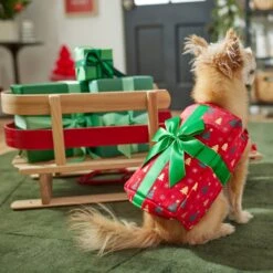 Frisco Holiday Giftbox Dog & Cat Costume -Pet Supplies Discount Store 276175 PT8. AC SS1800 V1631574832