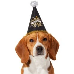 Frisco Happy New Year Dog & Cat Hat -Pet Supplies Discount Store 276190 PT2. AC SS1800 V1631303599