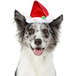 Frisco Holiday Poms Dog & Cat Santa Hat -Pet Supplies Discount Store 276194 PT2. AC SS1800 V1631303507