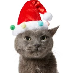 Frisco Holiday Poms Dog & Cat Santa Hat -Pet Supplies Discount Store 276194 PT3. AC SS1800 V1631303179