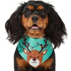 Frisco Peekaboo Reindeer Dog & Cat Bandana -Pet Supplies Discount Store 276198 PT3. AC SS1800 V1637687013