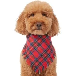 Frisco Red/Green Plaid Dog & Cat Flannel Bandana 13 Frisco Red/Green Plaid Dog & Cat Flannel Bandana -Pet Supplies Discount Store 276201 PT3. AC SS1800 V1637654789